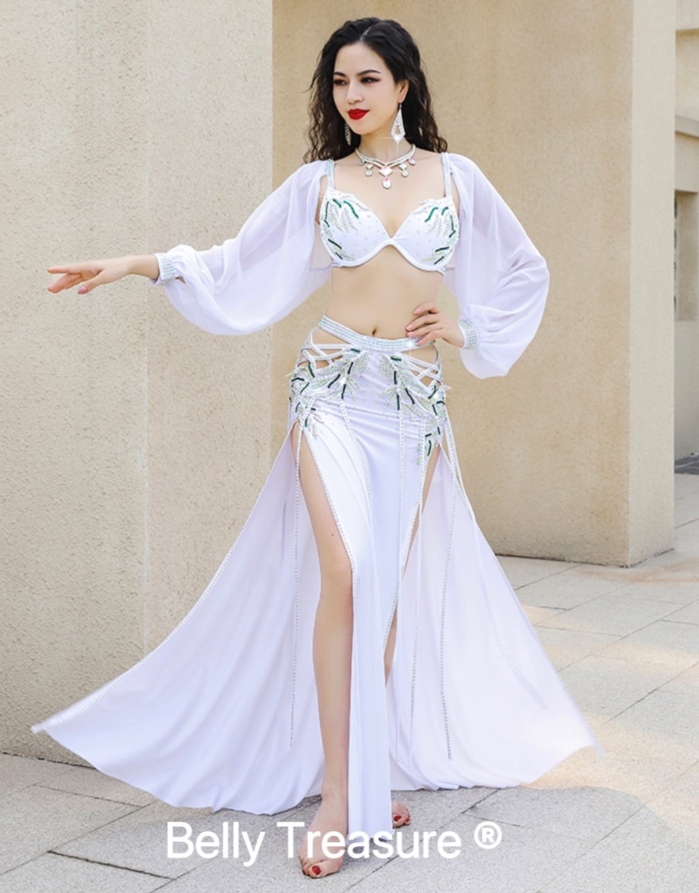 ベリーダンス衣装 2カラー ブラ スカート アーム3点セット CCZWYC082