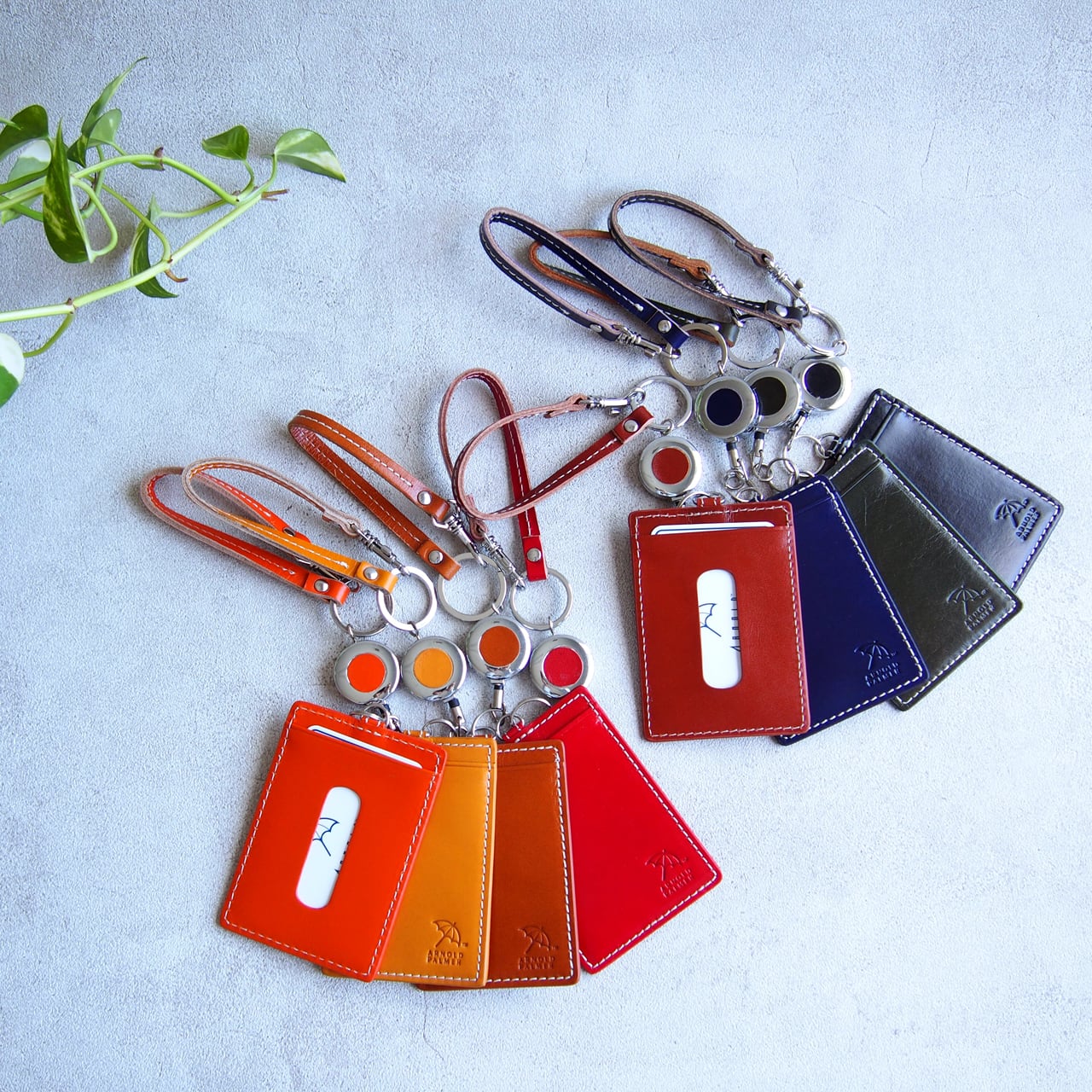 アーノルドパーマー 定期入れ ： 単パス（リールキー付）カラフル