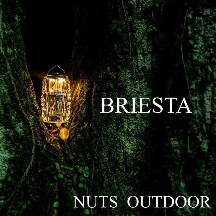 LEDライトカバー ナッツ NUTS ブリエスタ BRIESTA クリア ランタン