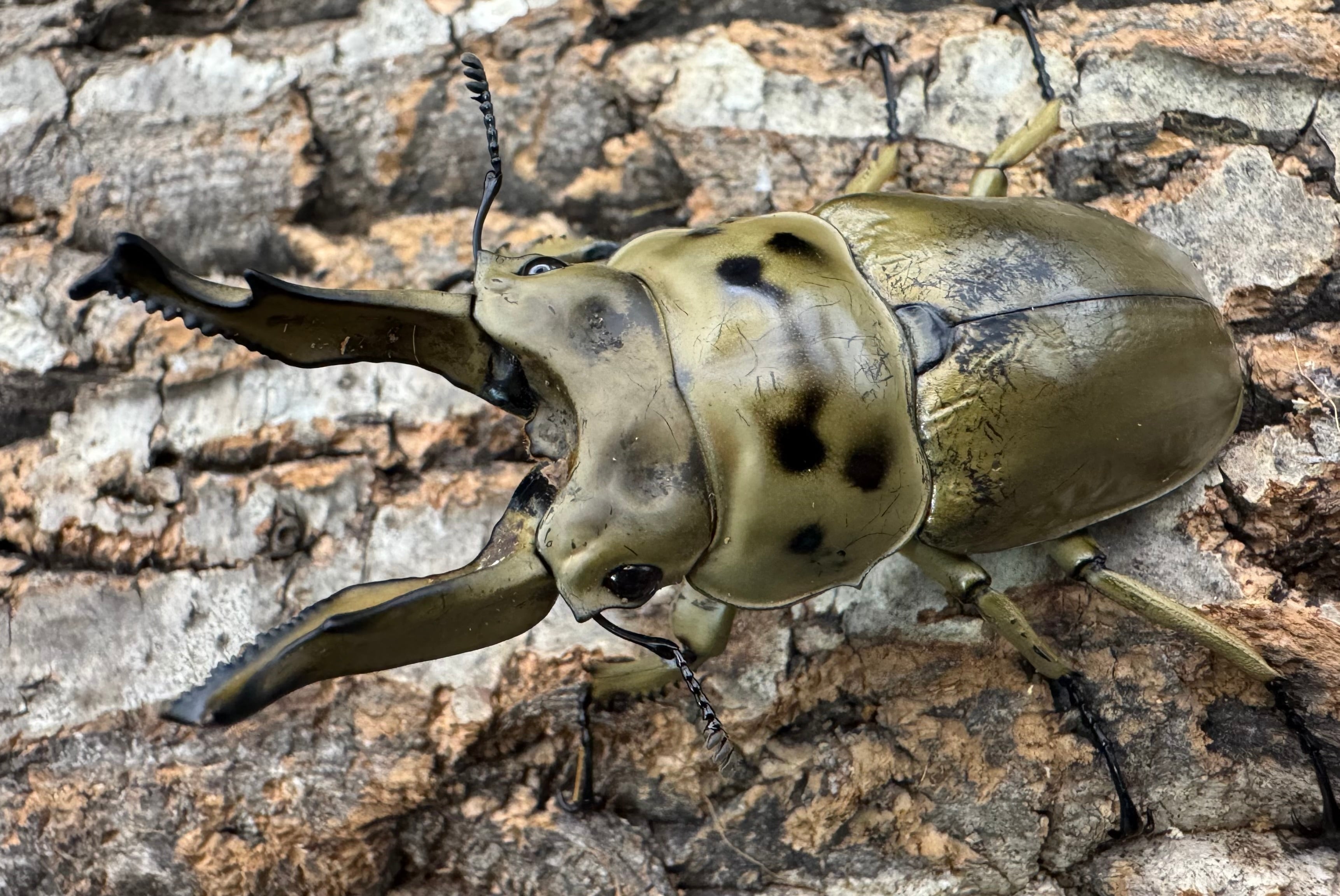 d224227acc9c56b401becaf2ba76d1