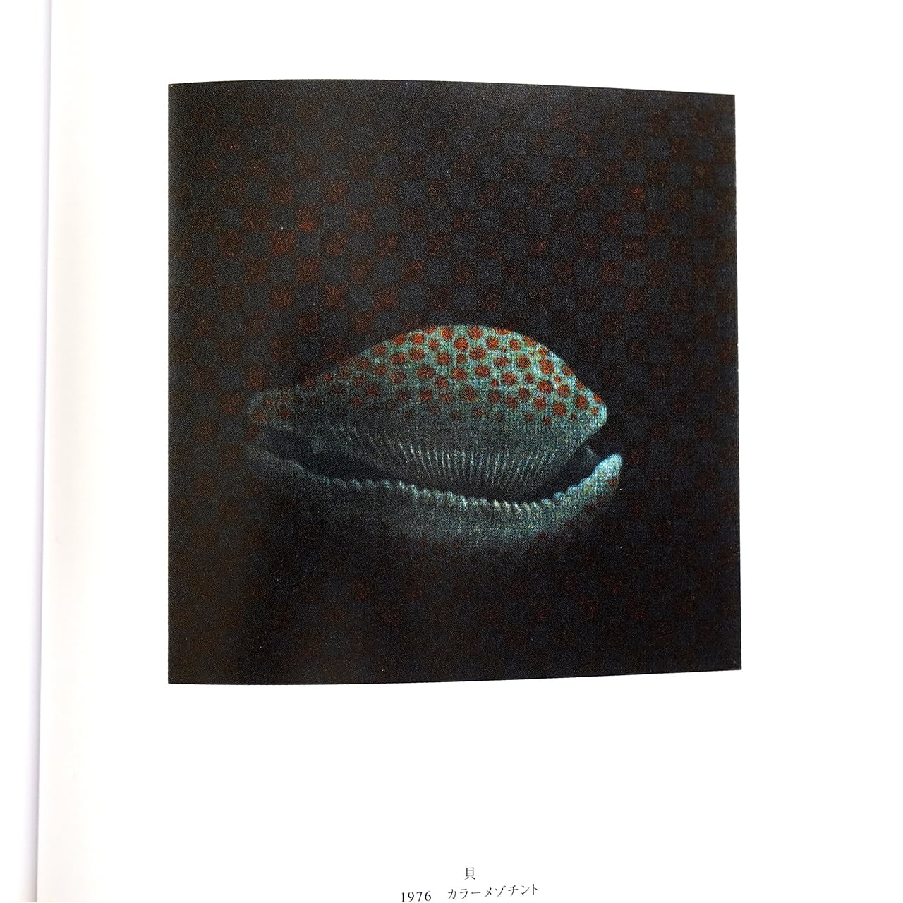 ミュゼ浜口陽三・ヤマサコレクション 図録 | タイムカプセル