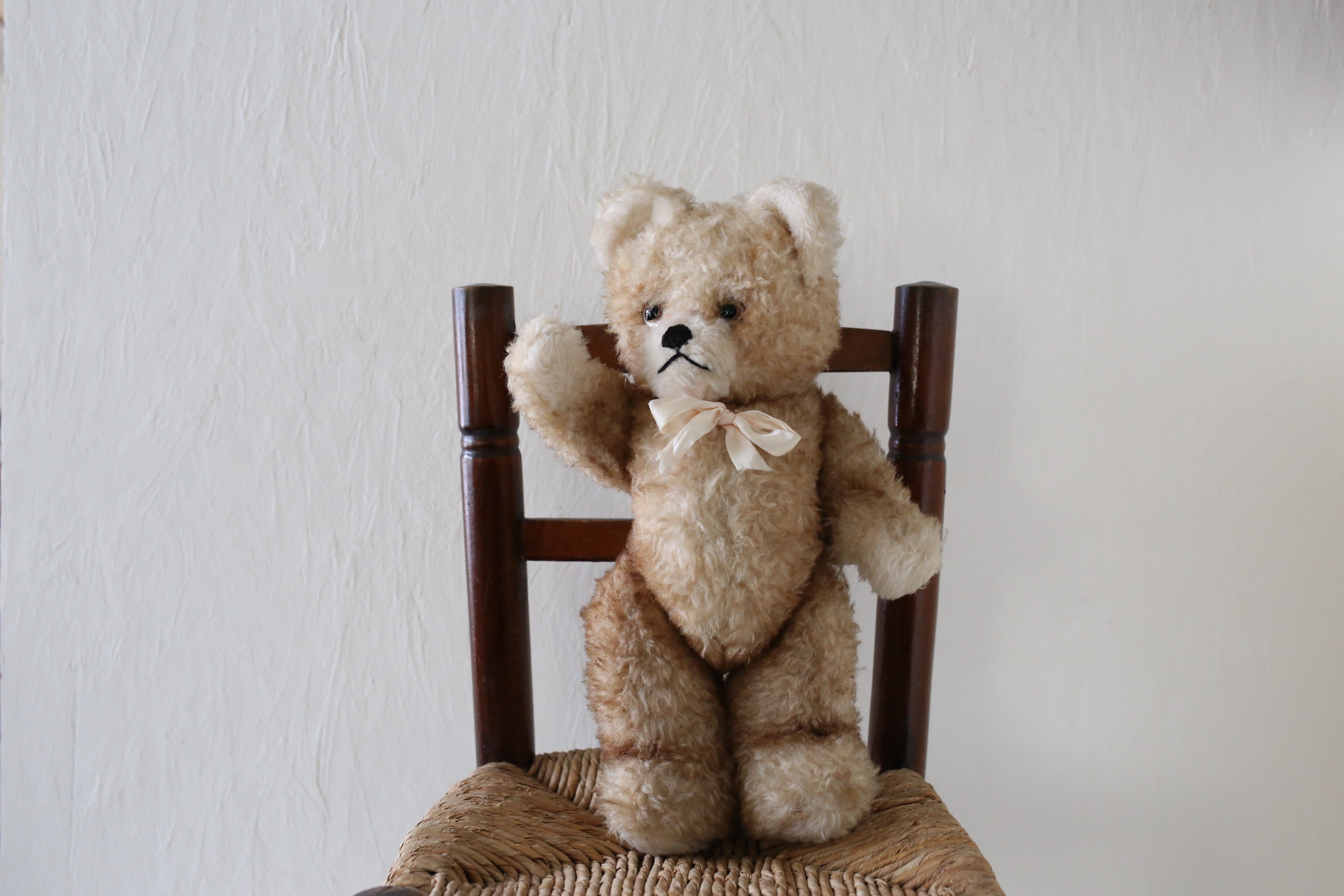 ぬいぐるみ | EMUPARIS