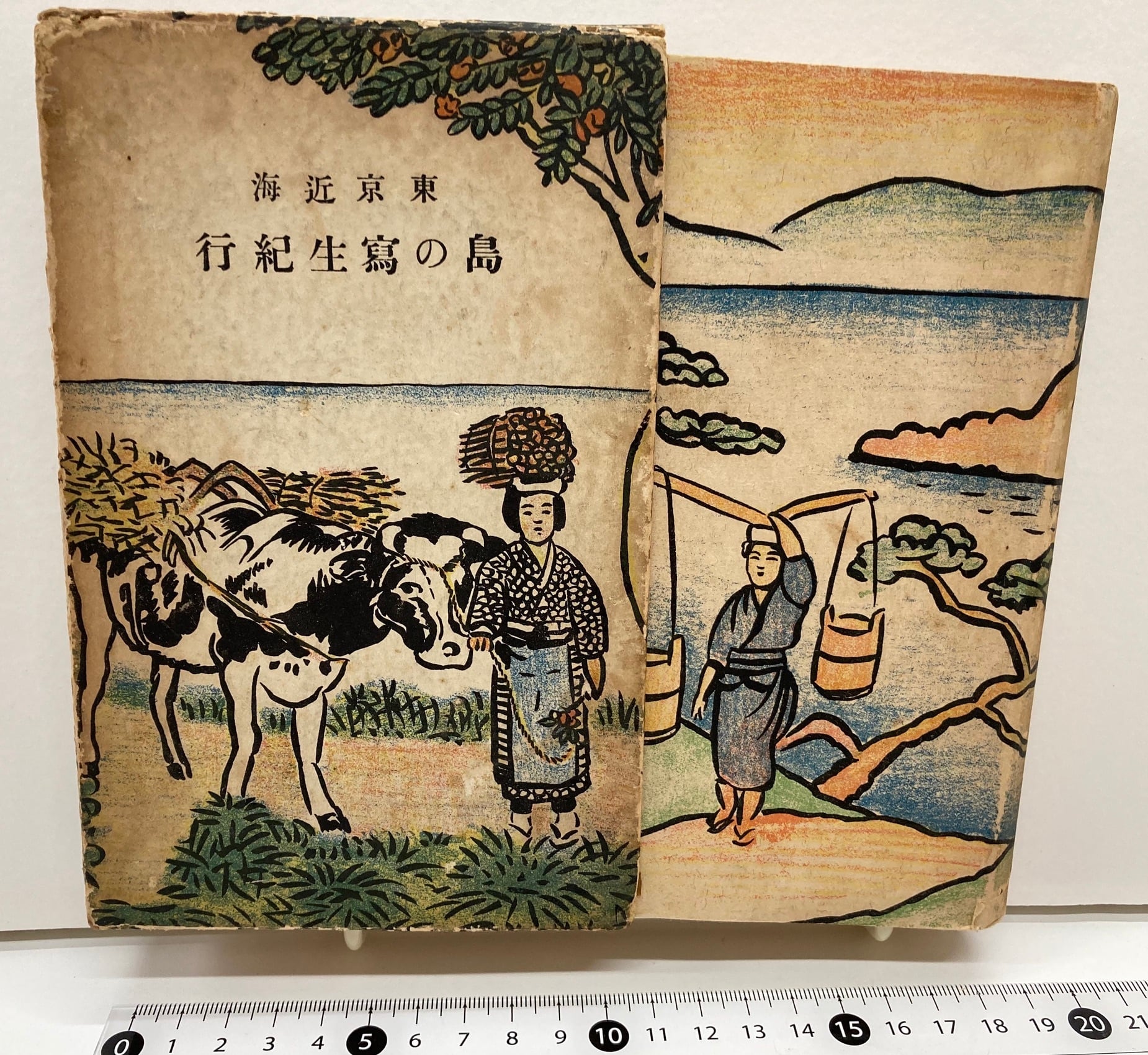 横井弘三 | トムズボックス