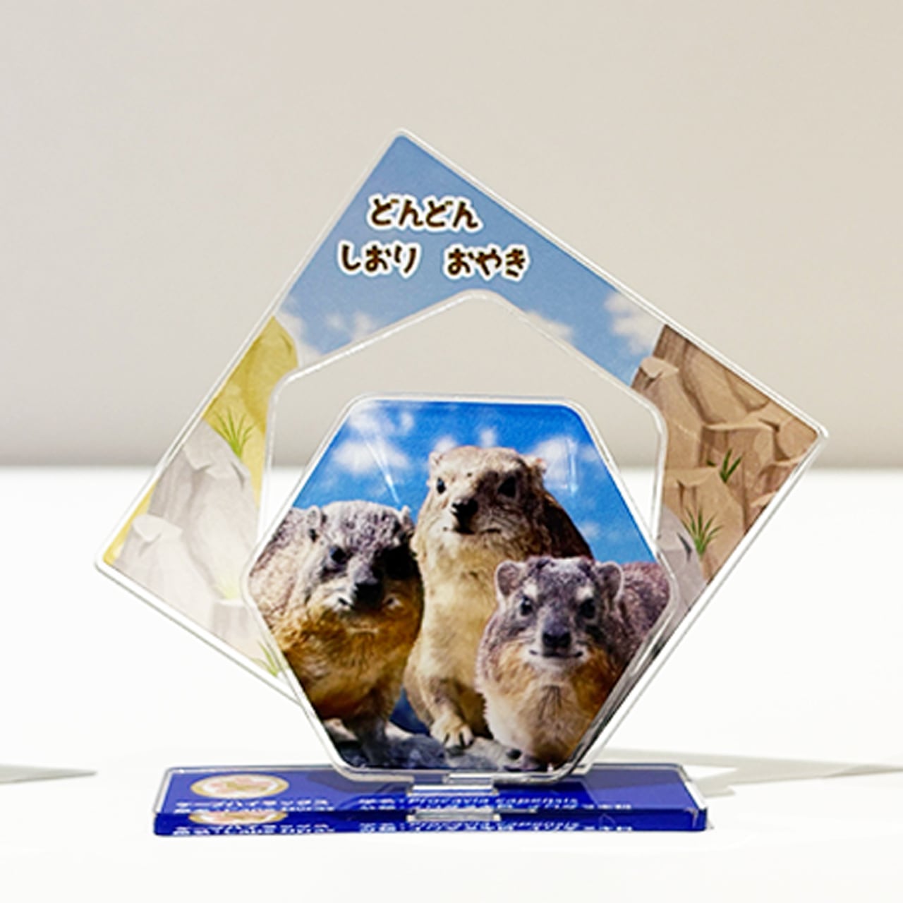 哺乳類 | ZOOっとながの