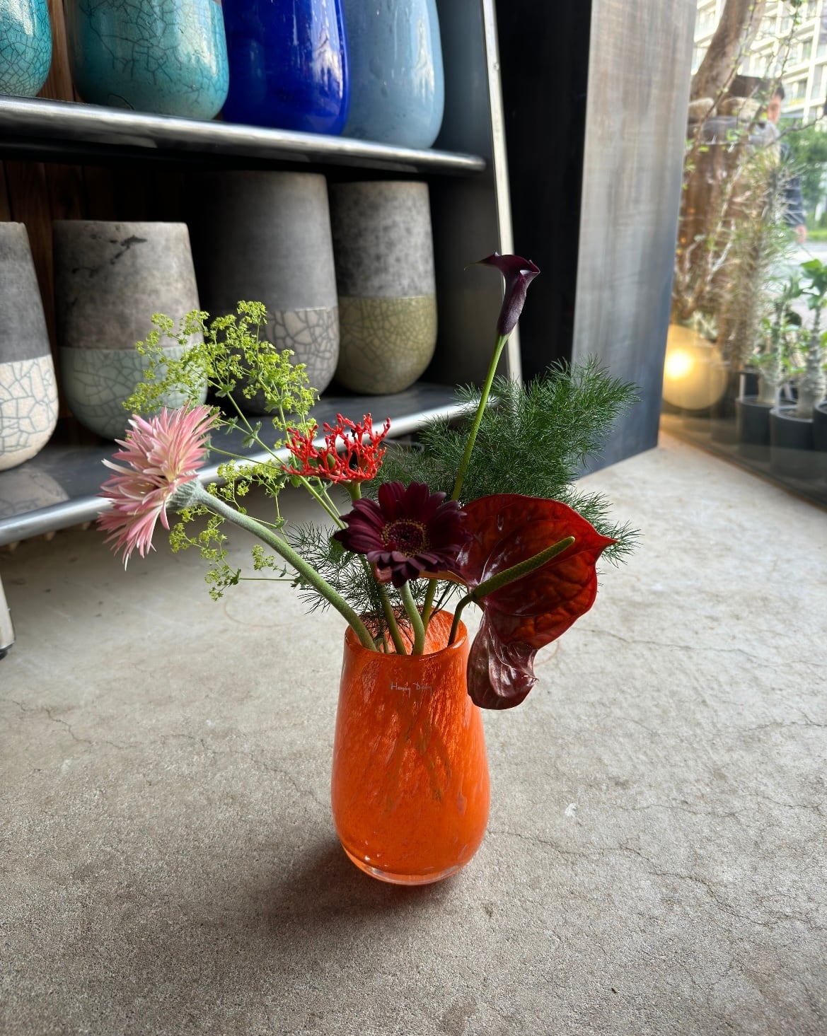 Henry Dean V.Stromboli XS タンジェロ | HANACHO exotics plants