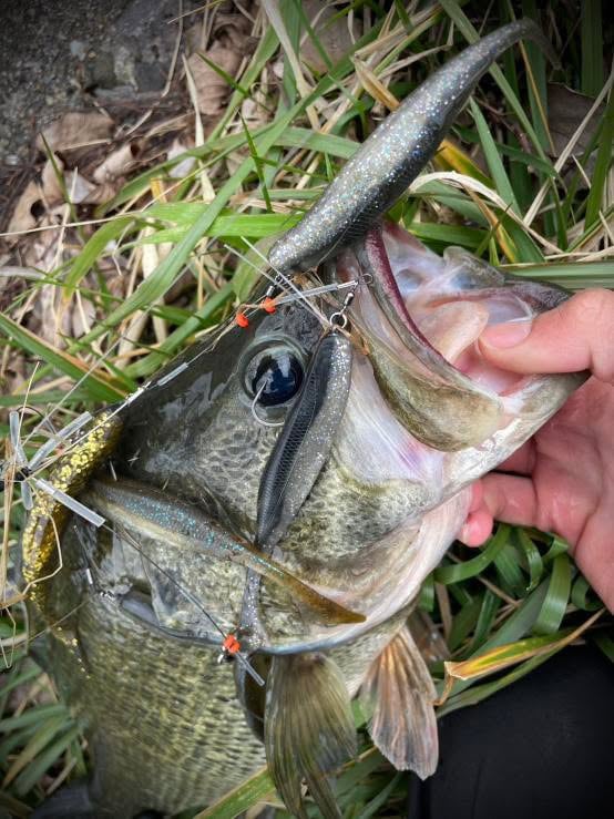 FALK／spalo FA | ルアーショップB－FARM