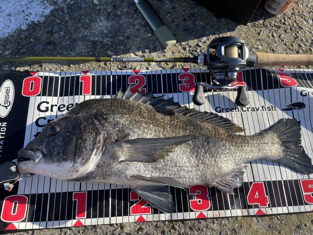 インプレ】ズームサファリ765Lの使い心地は？？ | BASSFISHING PARADISE