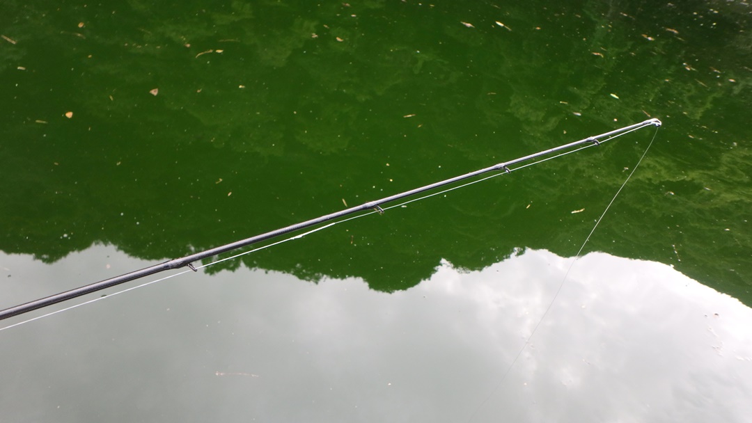 異次元過ぎる！スティーズリアルコントロール！S68MH-SV | Bassou.net