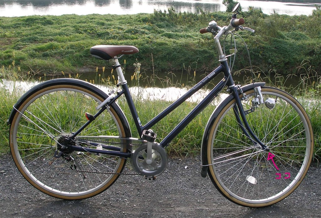 6段変速のチェーンが良いか、3段変速のベルトが良いか…』 ブリヂストン