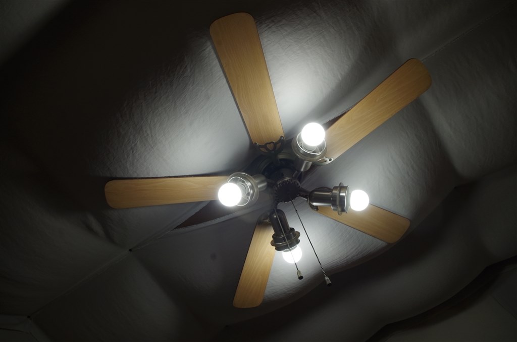 黒死病完治なるか？？？ ぱーと2』 ペンタックス PENTAX K-50 ダブル