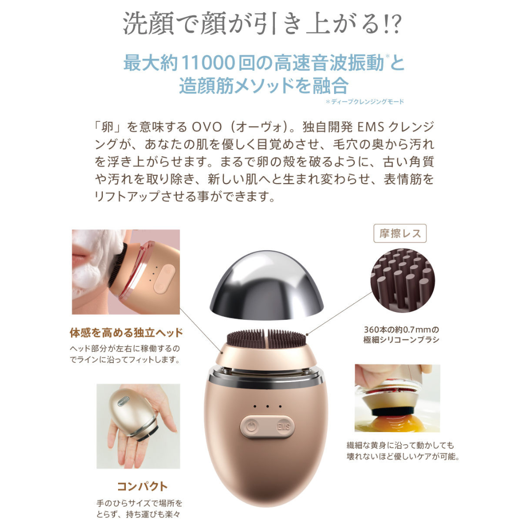 ゾーガンキン オーヴォ