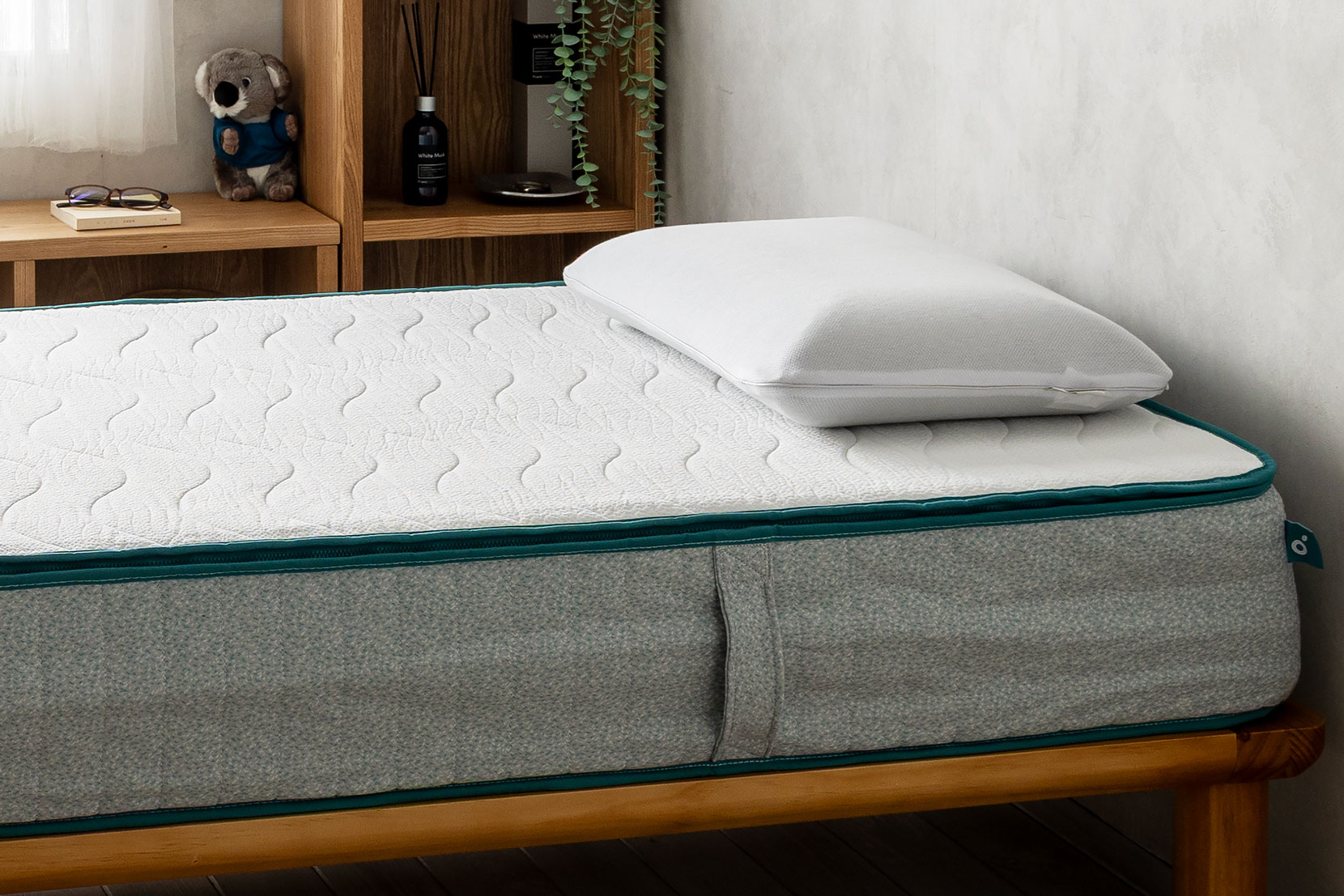 コアラピロー（全4種類）の比較と選び方のコツを徹底解説 | 椚大輔の