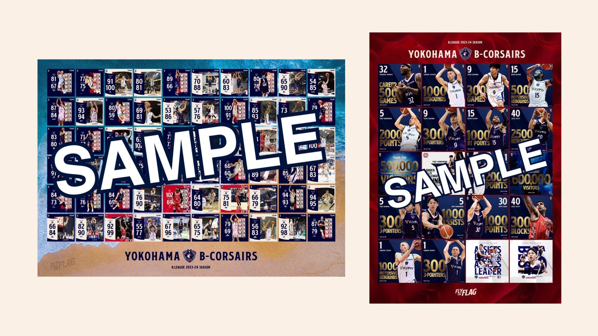 2023-24シーズン】横浜ビー・コルセアーズ クラブ公式フォトを