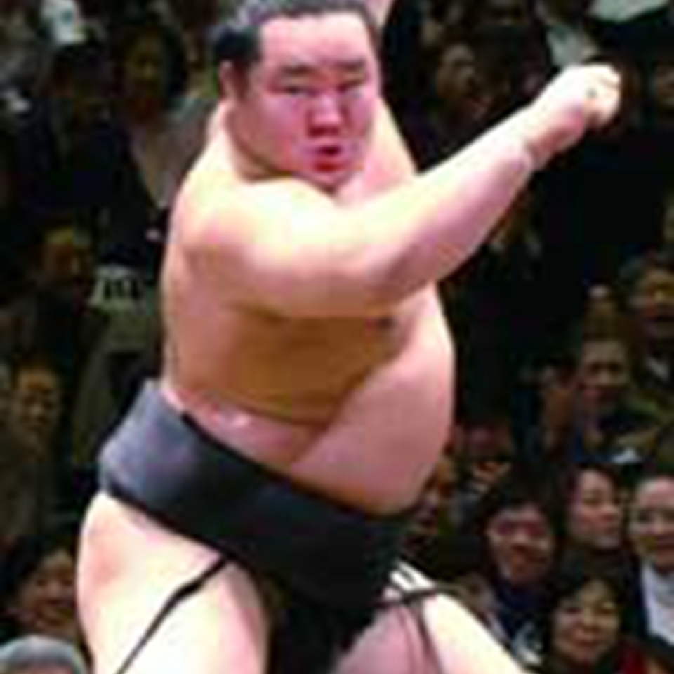 相扑力士朝青龙_百度百科