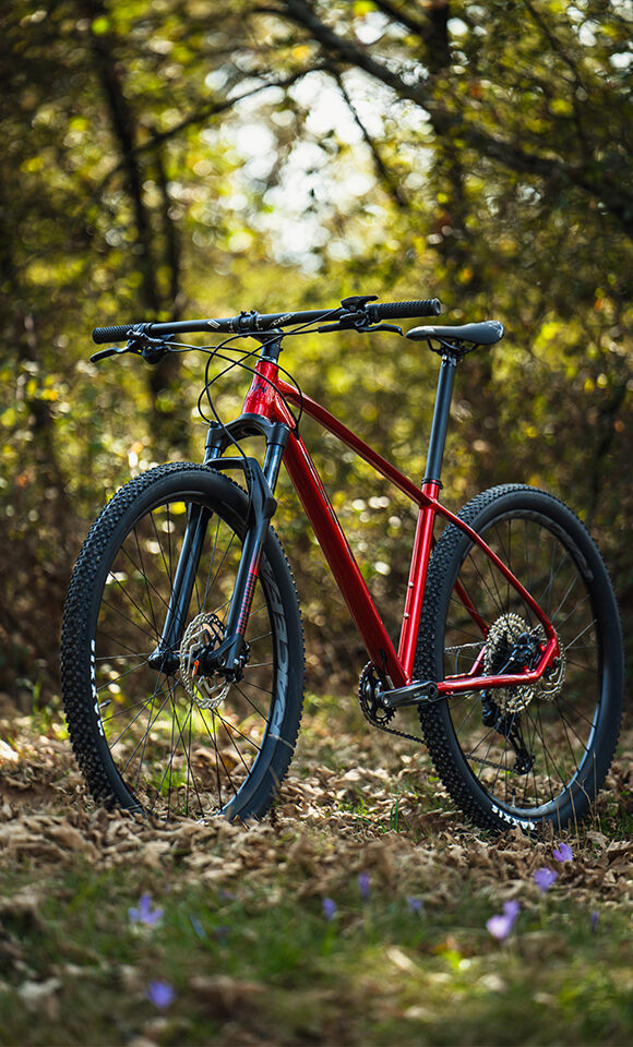 Bicicleta de Montaña EXPERT 29 FOX - BH Bikes