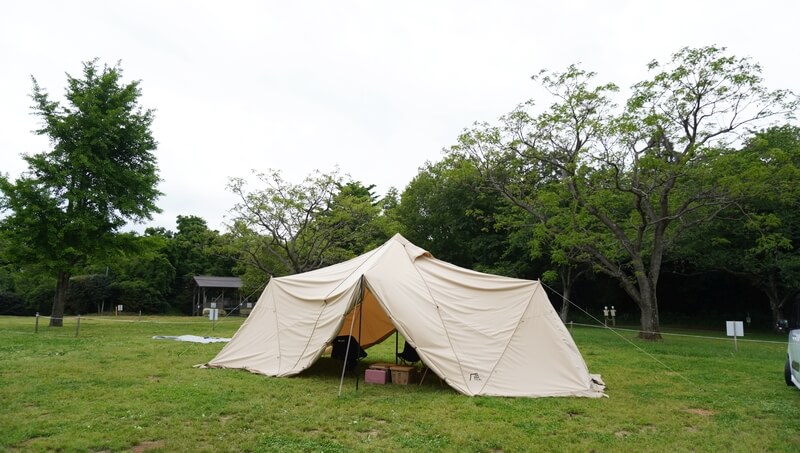 長編】スカイパイロットTCの本音レビュー 長所6つ、短所2つを徹底解説