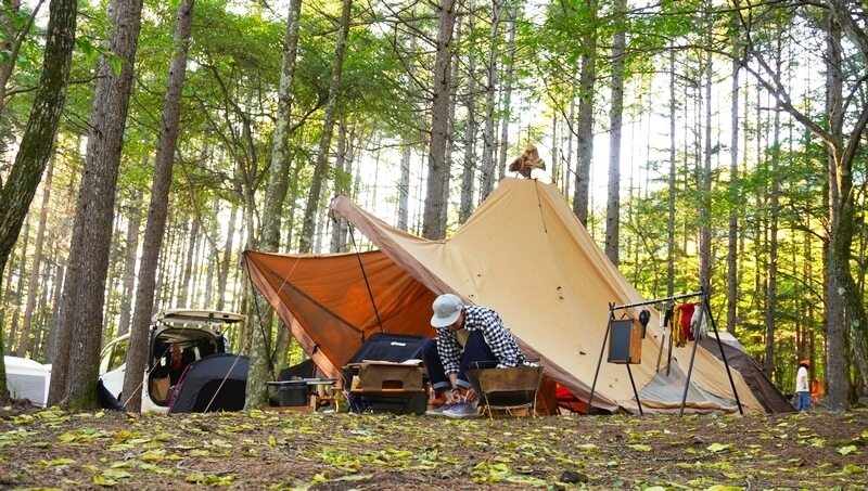 4人家族がサーカスTC BIGを買った理由から欠点＆リアルな使用例を紹介