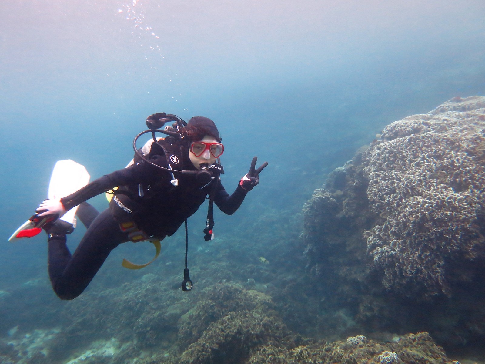 体験ダイビング｜よくある疑問質問にお答えします。 | 宮古島体験