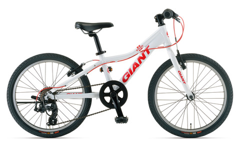 出来れば皆にスポーツサイクルを、幅広い展開を持つエントリーMTB