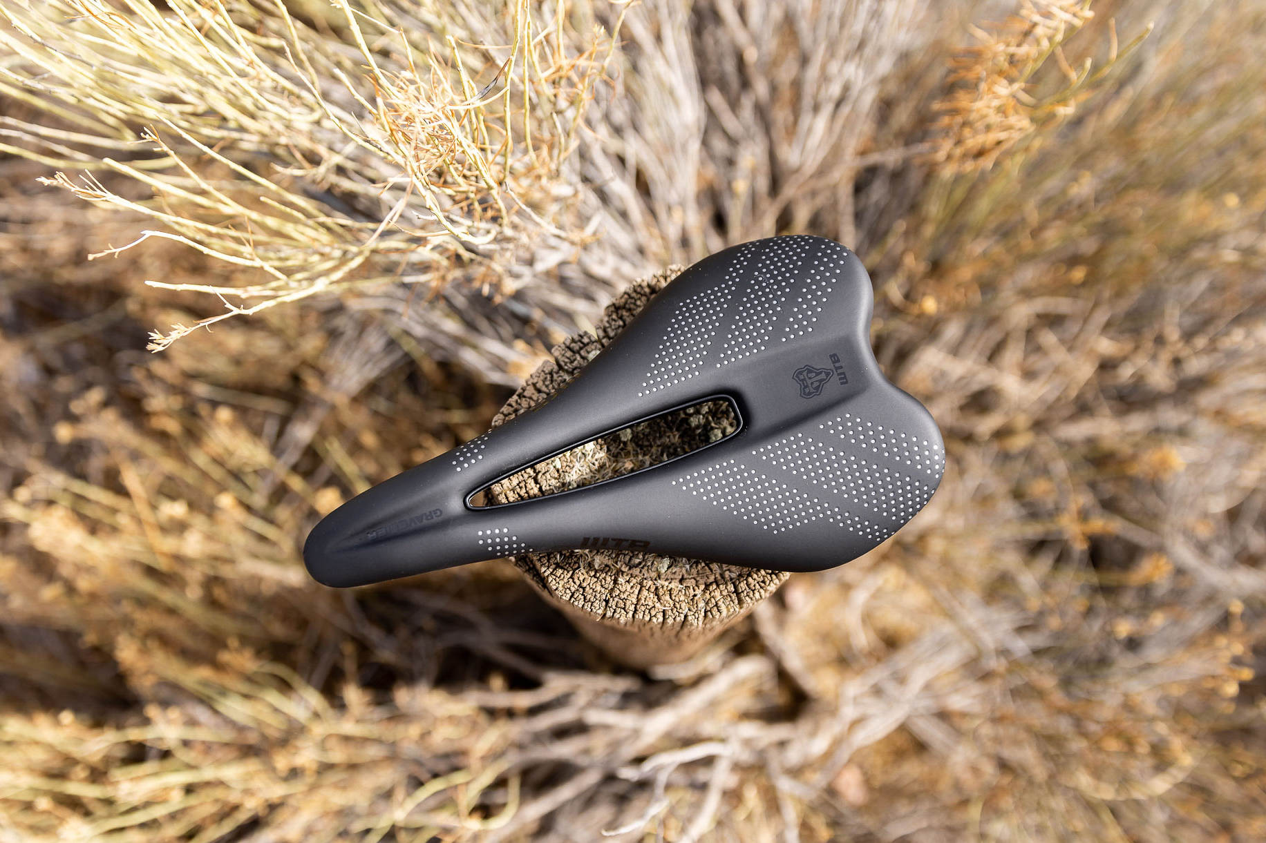Introducing the WTB Gravelier Saddle - BIKEPACKING.com