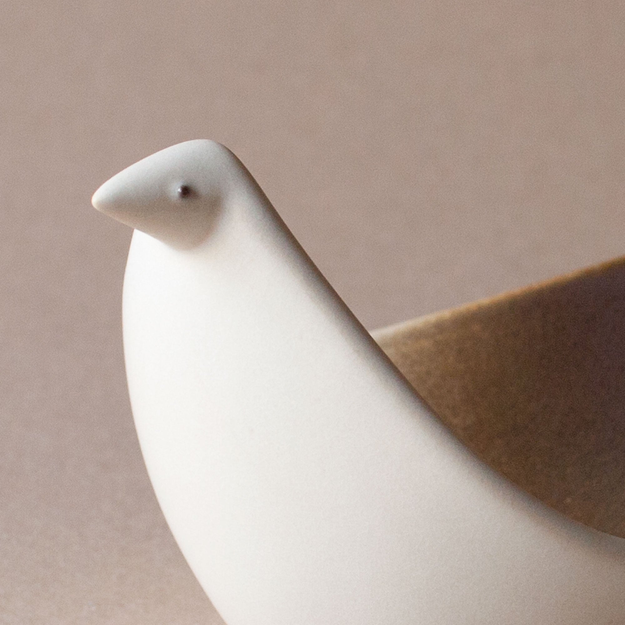 BIRD TRAY COLORS – BIRDS' WORDS