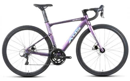 Xe đạp đua XDS AD300 | Bike2School - Hệ thống bán lẻ xe đạp