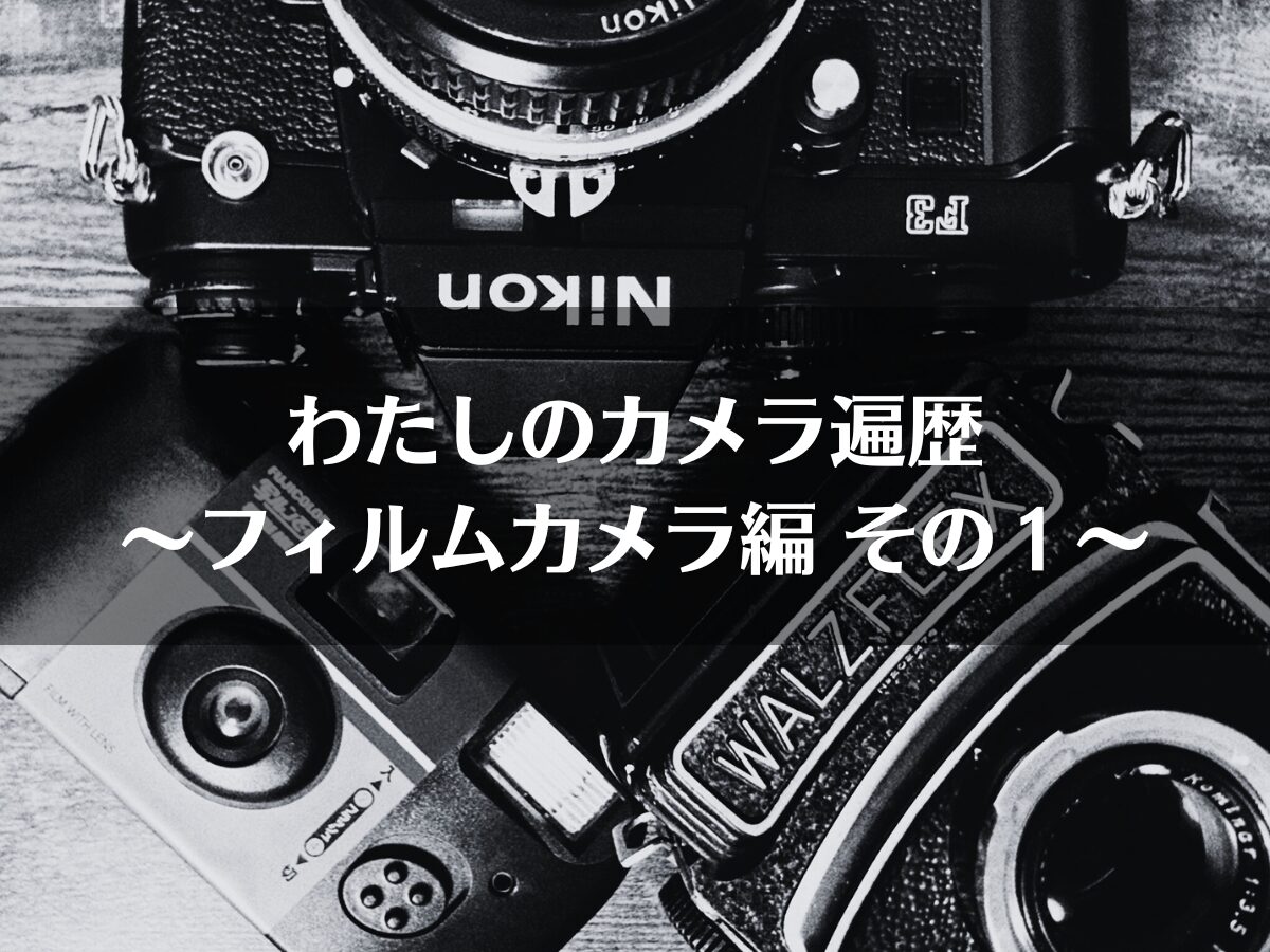 わたしのカメラ遍歴〜フィルムカメラ編 その2〜 | BORN SURE blog