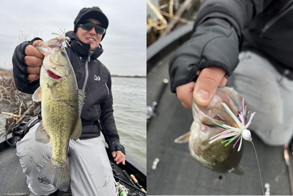 シャローカバー攻略に有効な一手』 – Bottomup(ボトムアップ)公式サイト