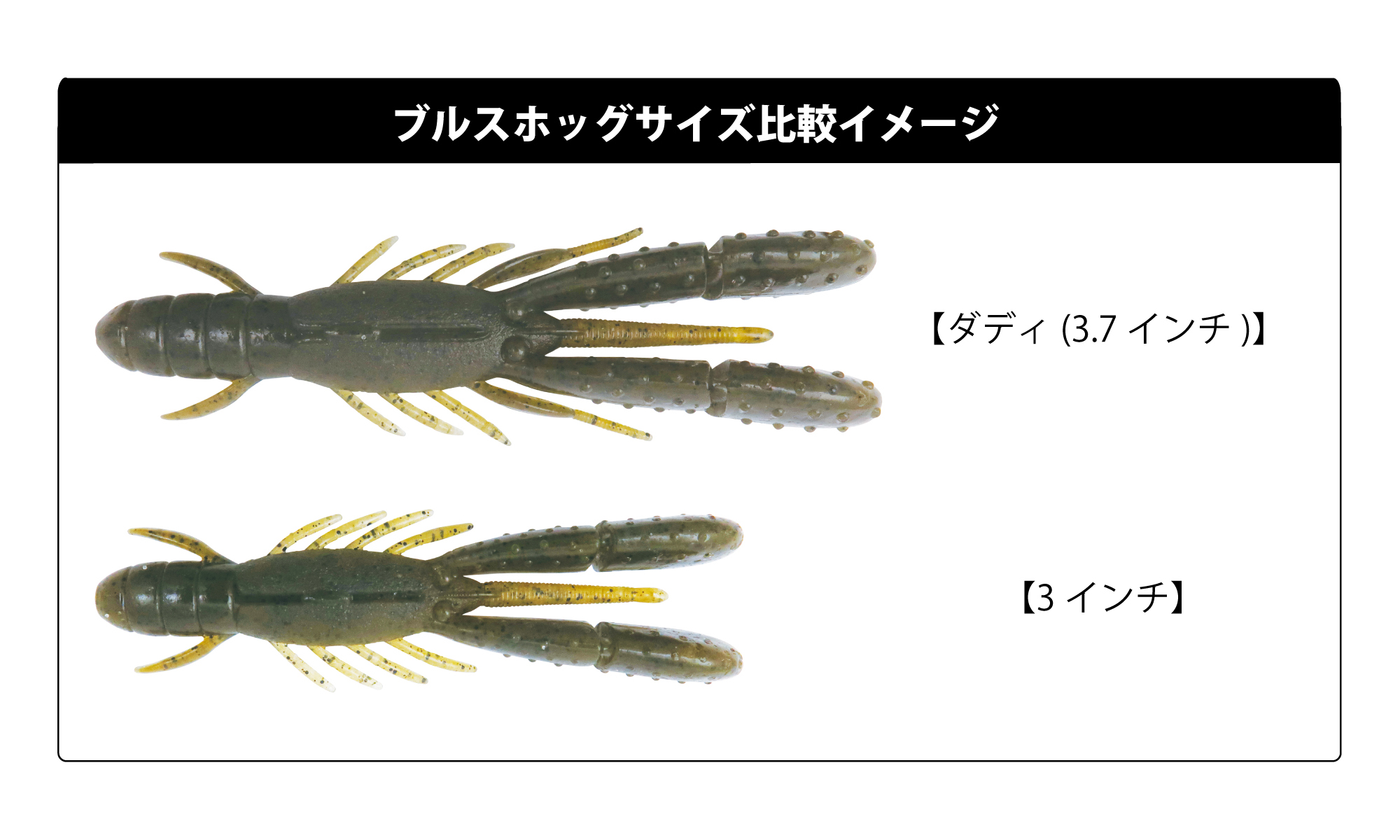 フィールドを問わず、万能なヘビーキャロライナリグ《ブルスホッグ3