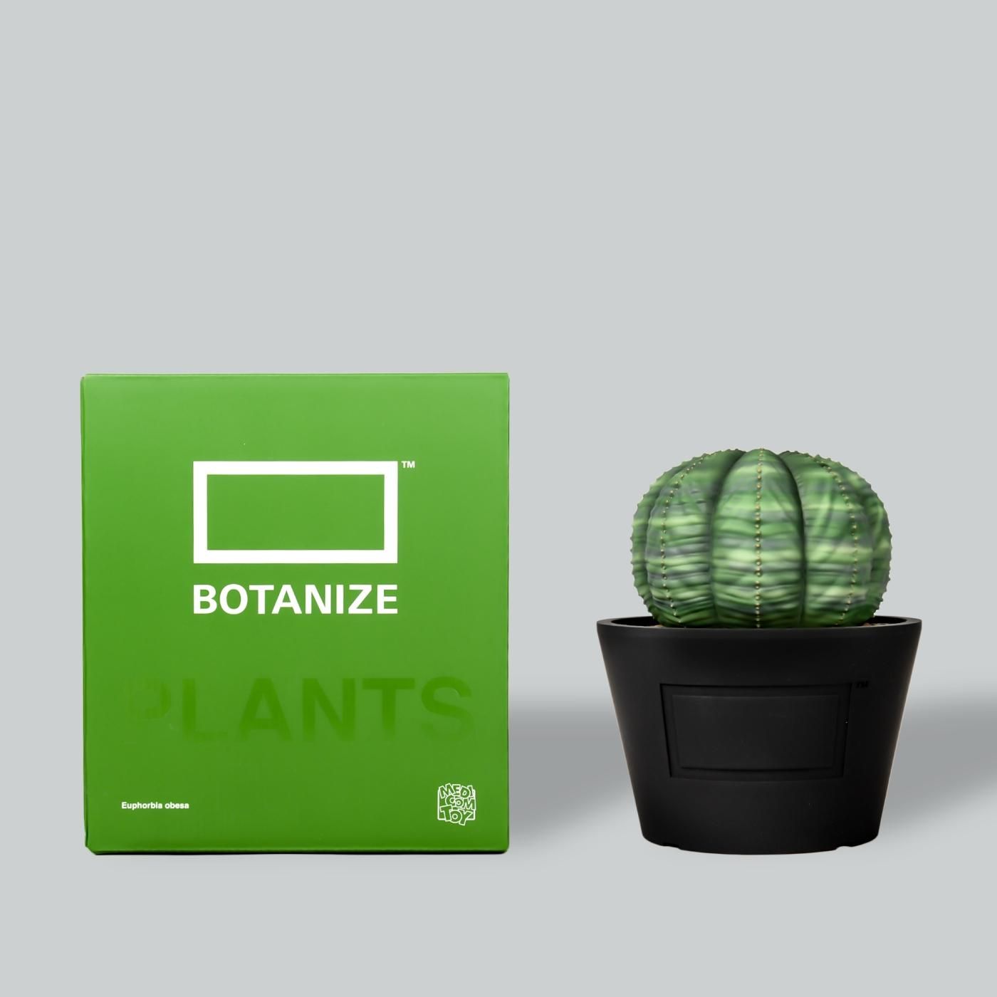 MEDICOM TOY – BOTANIZE