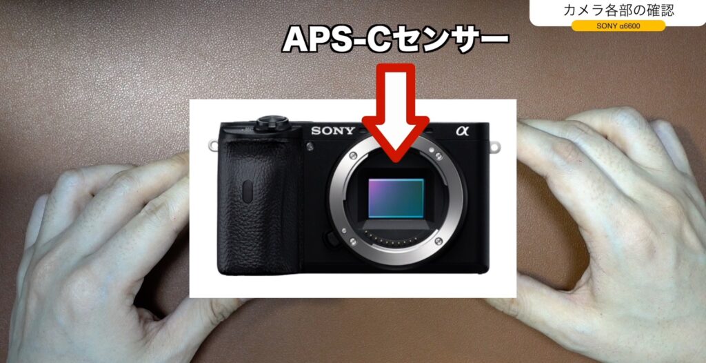 カメラ初心者が【SONY α6600】を購入した理由と開封レビュー【デジタル