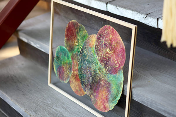 作品紹介 蓮の葉 インド菩提樹 アクリルフレーム｜ボタニーペイン