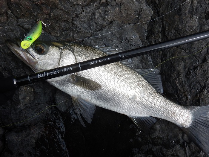 バリスティック ヒラ 11MH TZ/NANO セカンドインプレッション② - 三十