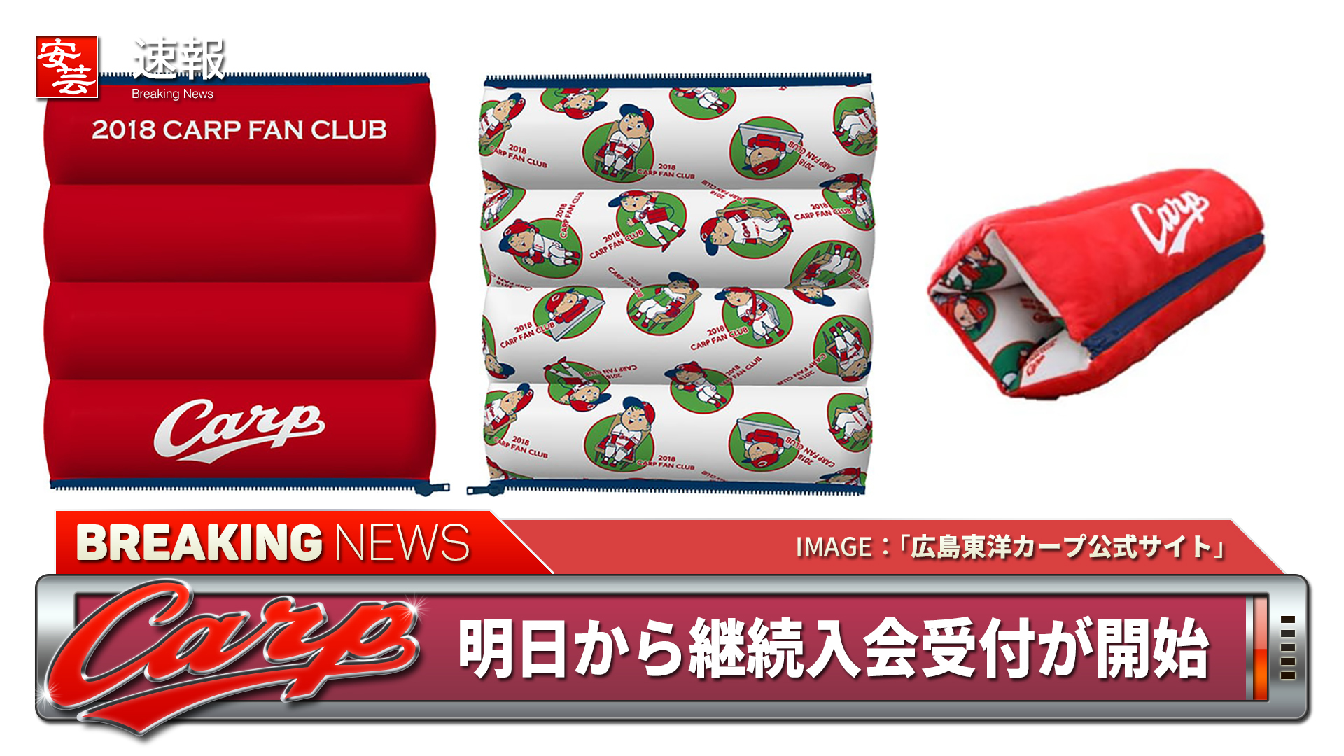 11月8日（水）10時～カープファン倶楽部の継続入会受付が開始／継続