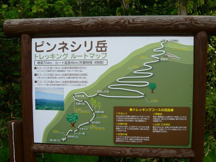 希少】【硬券】道の駅 きっぷ ピンネシリ 平成26年 敏音知岳登山 記念