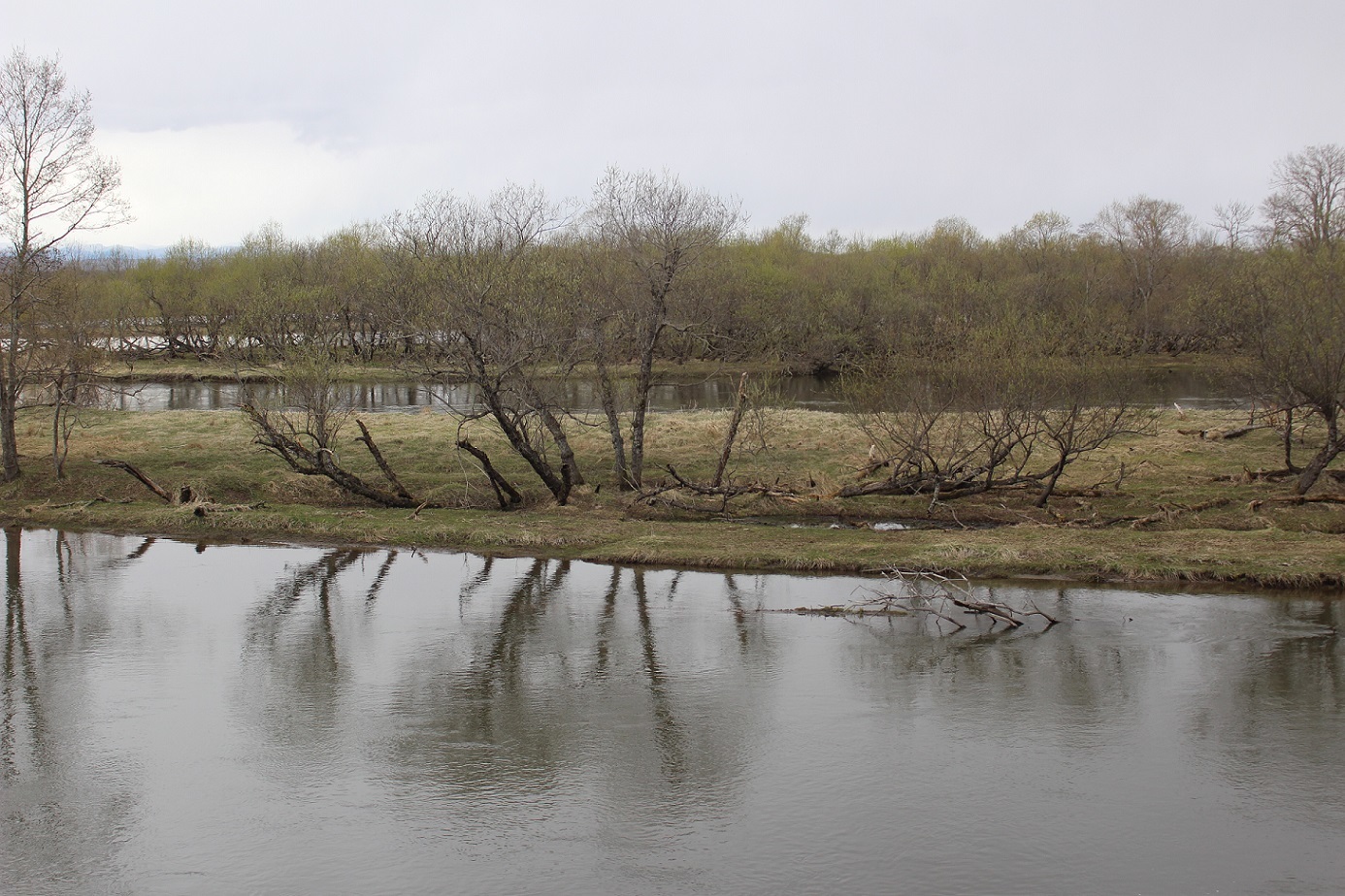 釧網本線全通90周年記念HM・サボを掲出した「くしろ湿原ノロッコ号