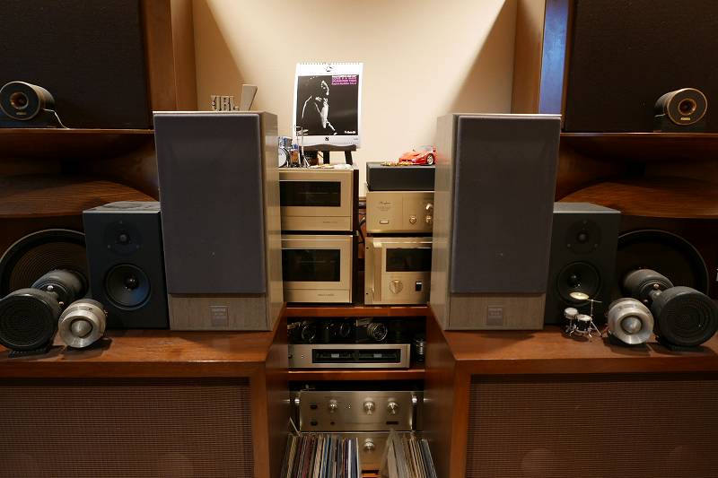 DIATONE DS-55XL』着弾！ - BLUE CITY