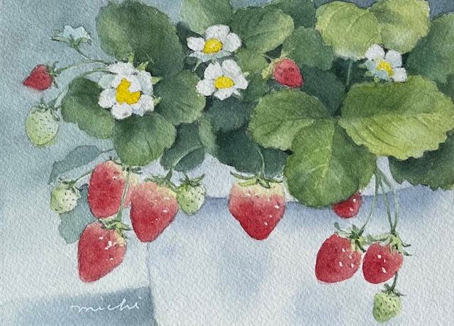 鉢植え苺を描く〜♪ | みちこのスケッチノート