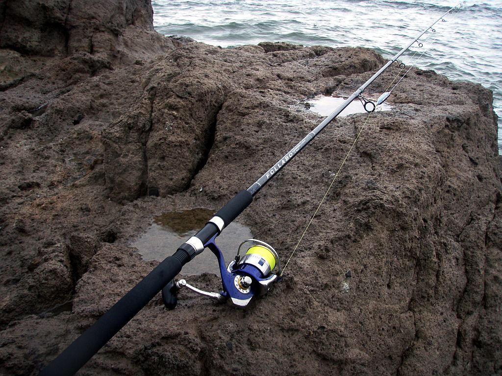 FCLLABO・UC11 - cassioのさまよい日記