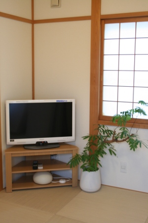 Wega コーナーTVボード