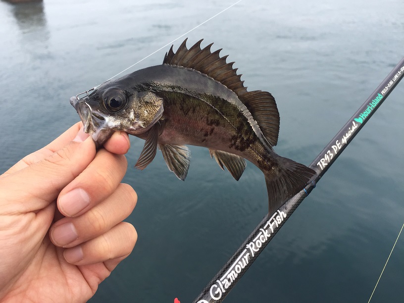 GRF TR93 PE SPECIAL ブリーデンのロッドです - ロッドのこと