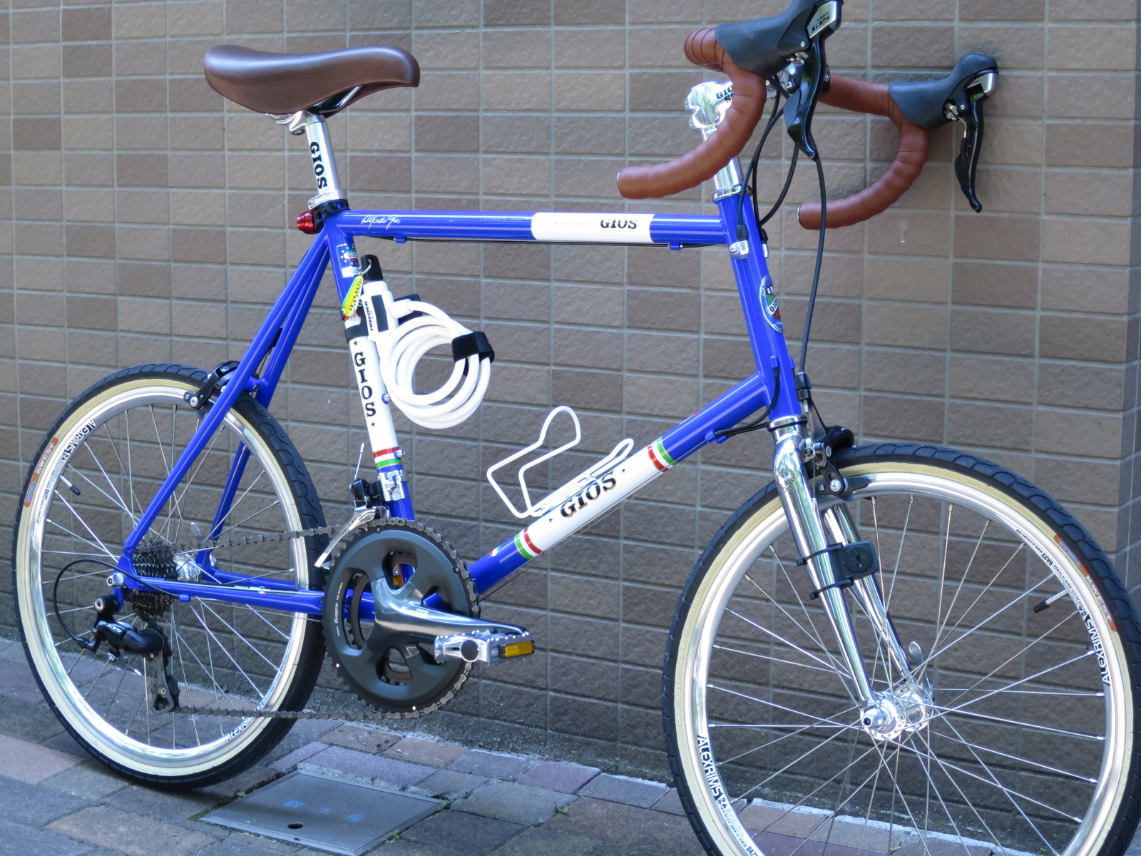 GIOS ANTICO アンティーコ ECOカスタマズ - Cycle Life