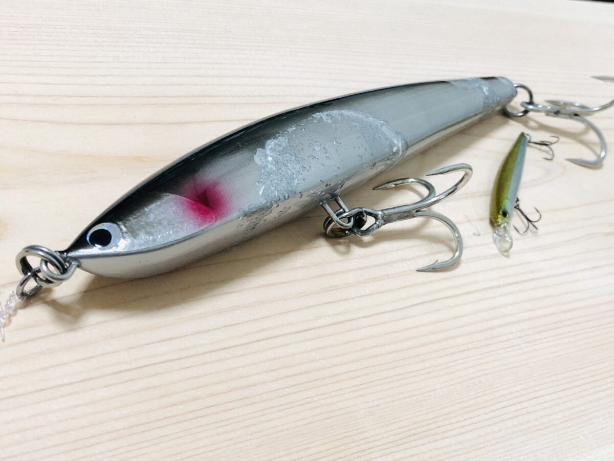 初心者OK】タンゲーラ210（フィッシュトリッパーズ）を徹底レビュー