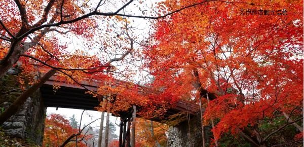 高遠城址もみじ祭り2022・10/29～11/6 | い～な 上伊那