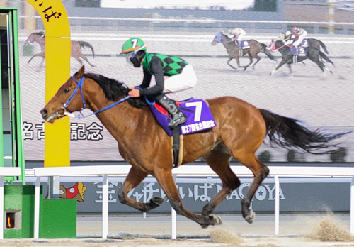 2024年2月｜ジョッキーインタビュー｜地方競馬ならオッズパーク競馬