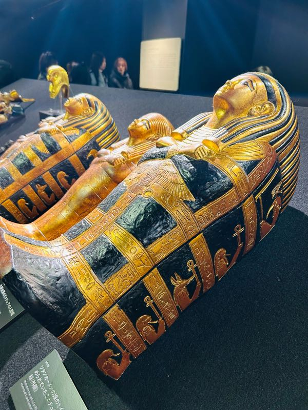 p1734322765117.jpg?alt=/photos