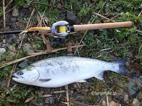 トラウトベイトロッド シマノ カーディフNX B77ML インプレ ｜ blog