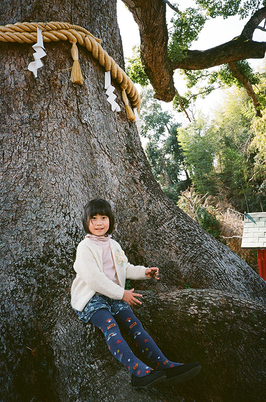 フィルムカメラぶらり撮影散歩10] MINOLTA TC-1はあなたをスナップ写真