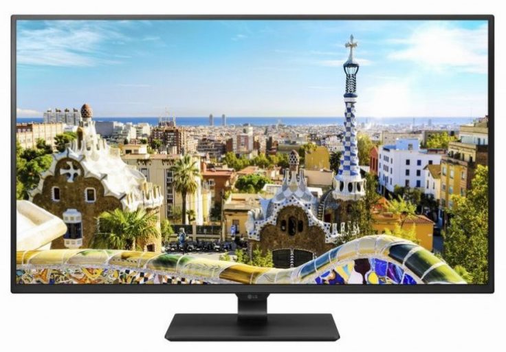 レビュー 大きすぎ？】巨大モニターLG 43UD79 Bを使ってみた感想 超高