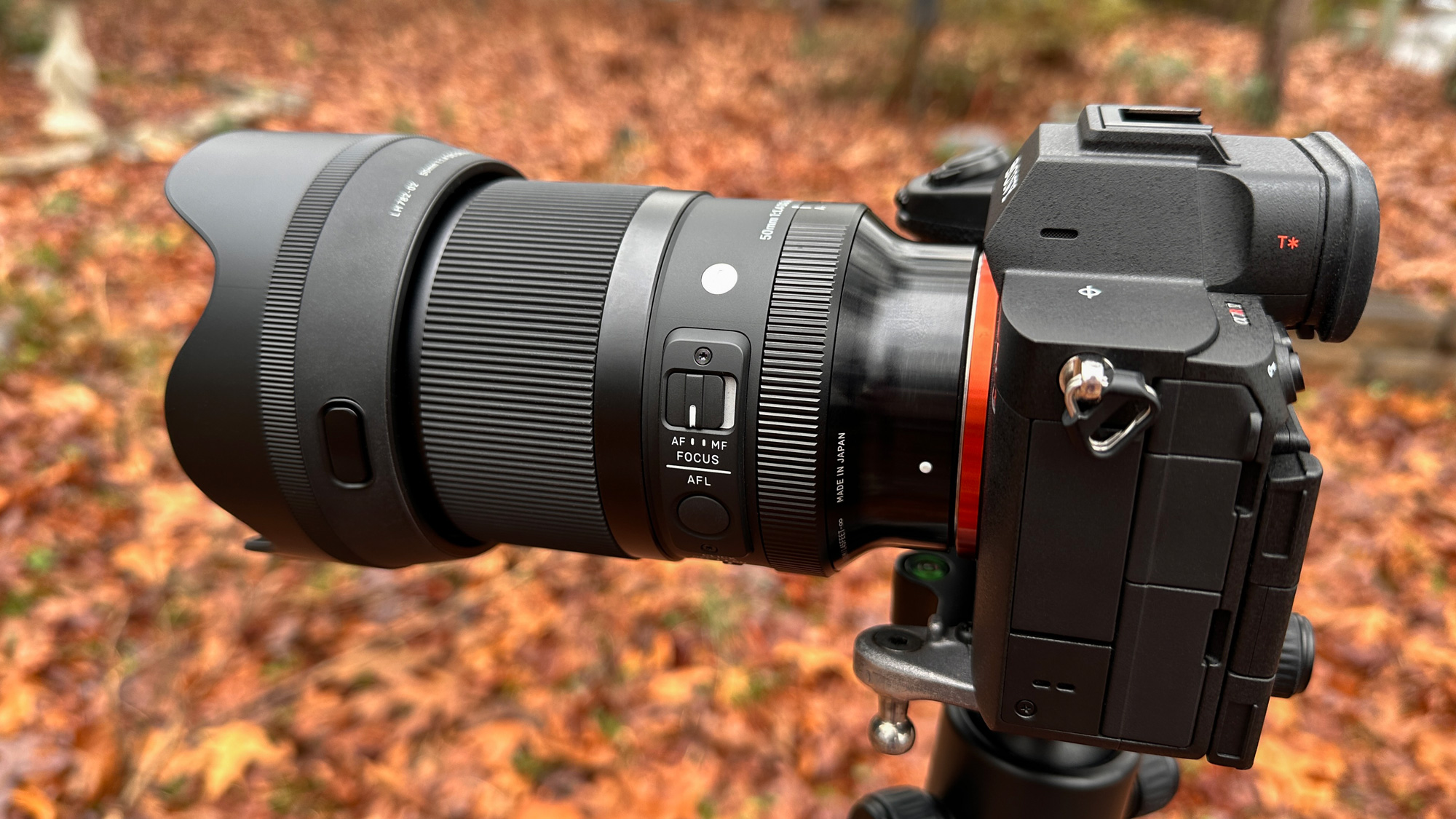 First Look: SIGMA 50mm F1.4 DG DN Art Lens | SIGMA Blog